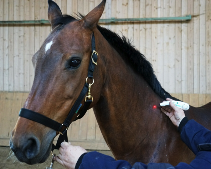 Lasertherapie